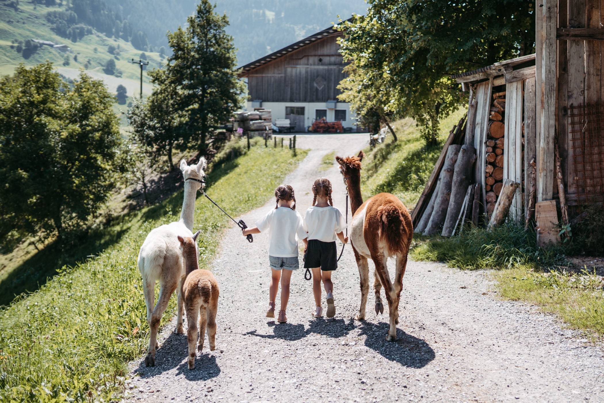 Bauernhofurlaub Grossarltal 7